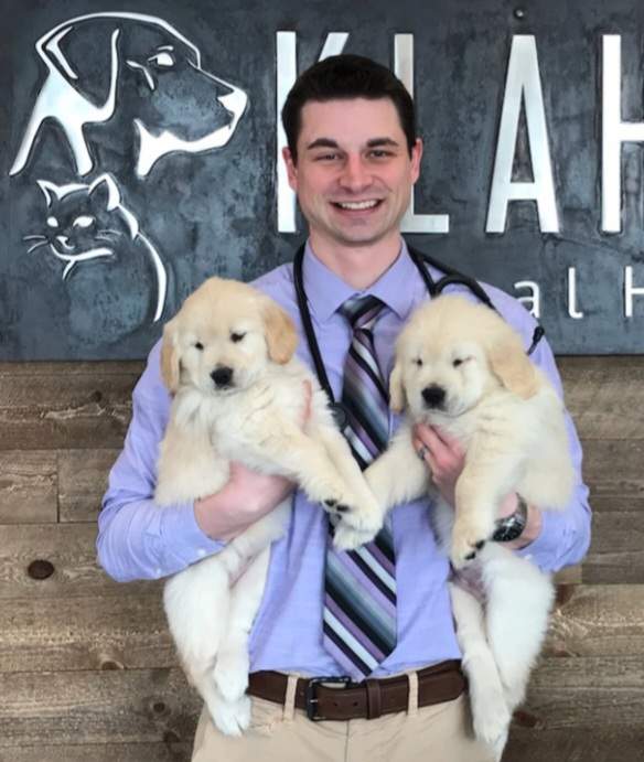 Veterinarian